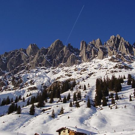 Appartementhaus Hochkoenig 1- Birgkar Mühlbach am Hochkönig Dış mekan fotoğraf