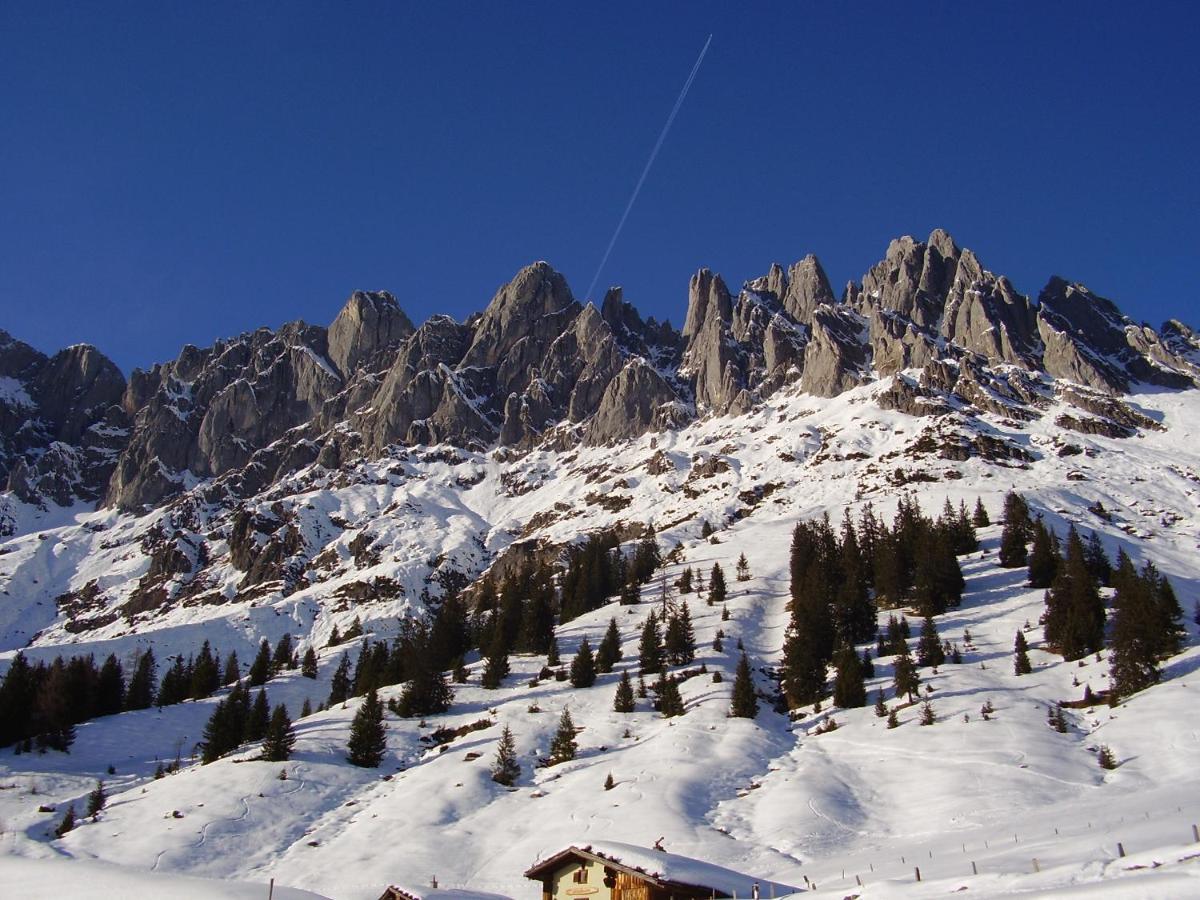 Appartementhaus Hochkoenig 1- Birgkar Mühlbach am Hochkönig Dış mekan fotoğraf